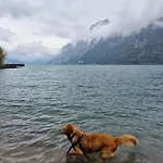 Swiss Mountains, Romantic, Heidiland, And Via Gondola בית נופש *