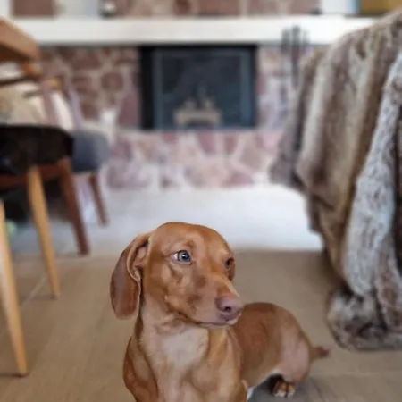 Dom wakacyjny Swiss Mountains, Romantic, Heidiland, And Via Gondola Quarten