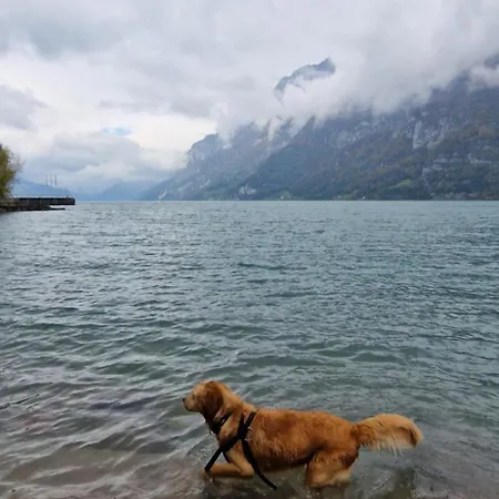 Swiss Mountains, Romantic, Heidiland, And Via Gondola Dom wakacyjny *