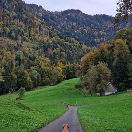 Dom wakacyjny Swiss Mountains, Romantic, Heidiland, And Via Gondola