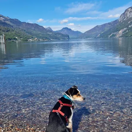 Swiss Mountains, Romantic, Heidiland, And Via Gondola Quarten