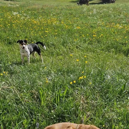 Swiss Mountains, Romantic, Heidiland, And Via Gondola * Quarten