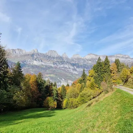 Swiss Mountains, Romantic, Heidiland, And Via Gondola