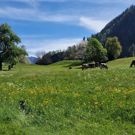 Swiss Mountains, Romantic, Heidiland, And Via Gondola