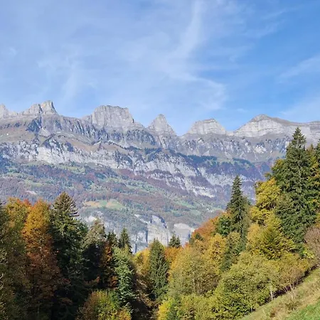 Swiss Mountains, Romantic, Heidiland, And Via Gondola
