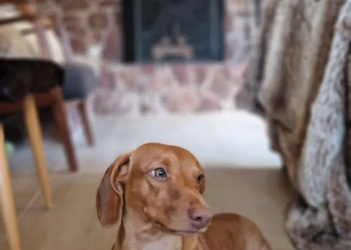 بيت للعطل Swiss Mountains, Romantic, Heidiland, And Via Gondola Quarten