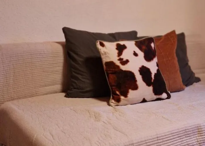 Swiss Mountains, Romantic, Heidiland, And Via Gondola