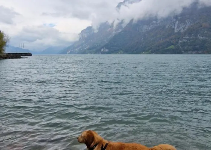 Swiss Mountains, Romantic, Heidiland, And Via Gondola 度假居 *