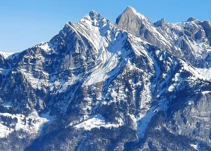 Swiss Mountains, Romantic, Heidiland, And Via Gondola Quarten