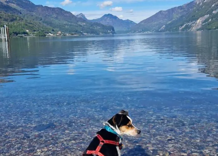 Swiss Mountains, Romantic, Heidiland, And Via Gondola Quarten