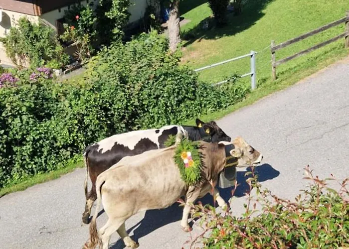 Swiss Mountains, Romantic, Heidiland, And Via Gondola
