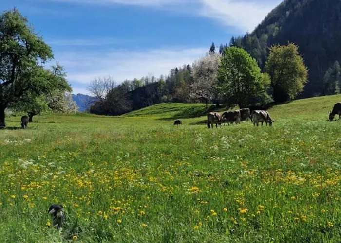 Swiss Mountains, Romantic, Heidiland, And Via Gondola