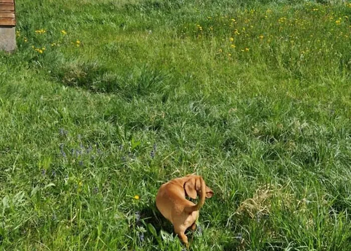 Swiss Mountains, Romantic, Heidiland, And Via Gondola 度假居 *