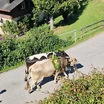 Swiss Mountains, Romantic, Heidiland, And Via Gondola