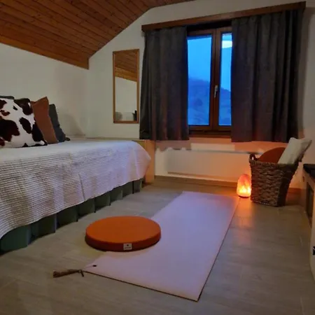 Swiss Mountains, Romantic, Heidiland, And Via Gondola Tatil Evi