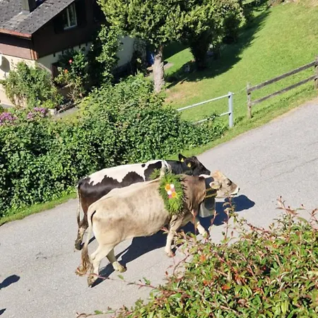 Swiss Mountains, Romantic, Heidiland, And Via Gondola
