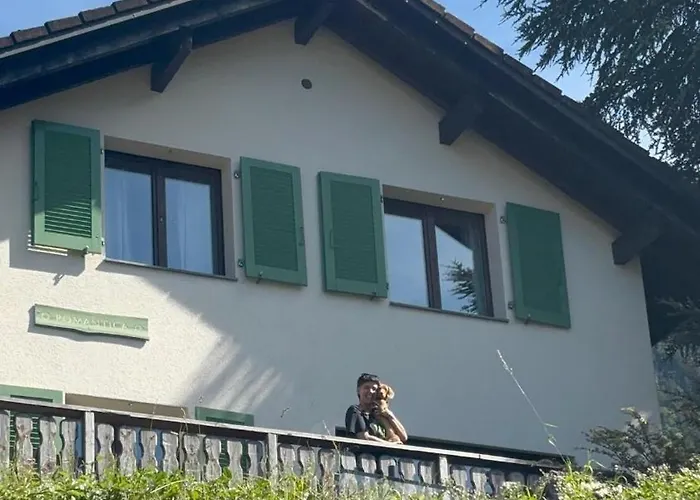 Swiss Mountains, Romantic, Heidiland, And Via Gondola Quarten